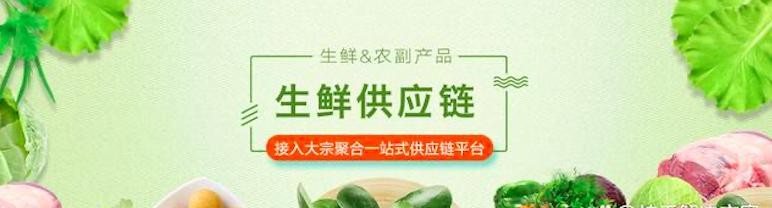 农批农贸市场商业地产策划公司